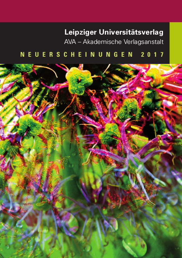 Katalog als PDF